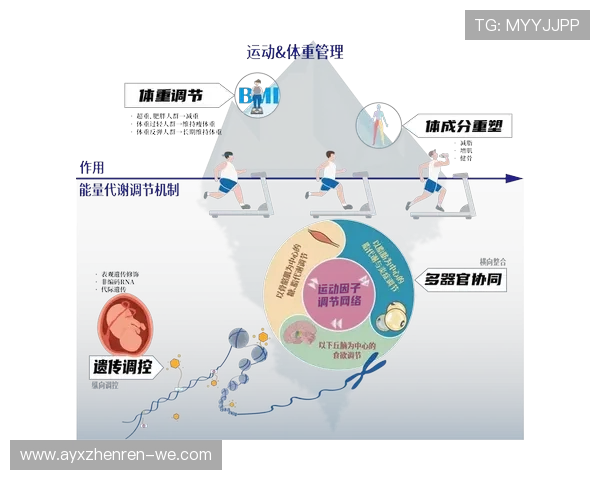 北京体育大学学报：运动科学与健康发展研究综述